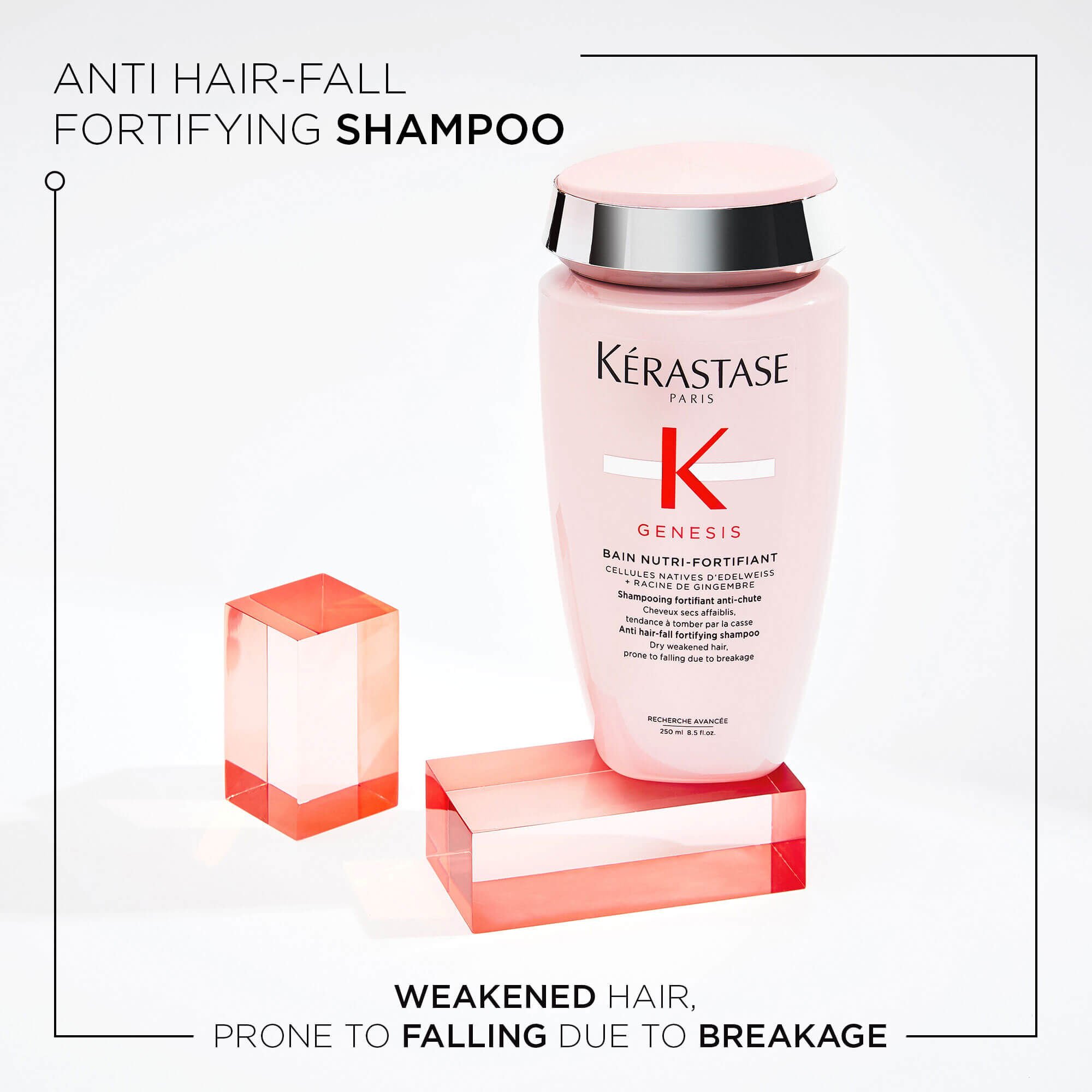Genesis Anti Hair Fall Shampoo K rastase UAE