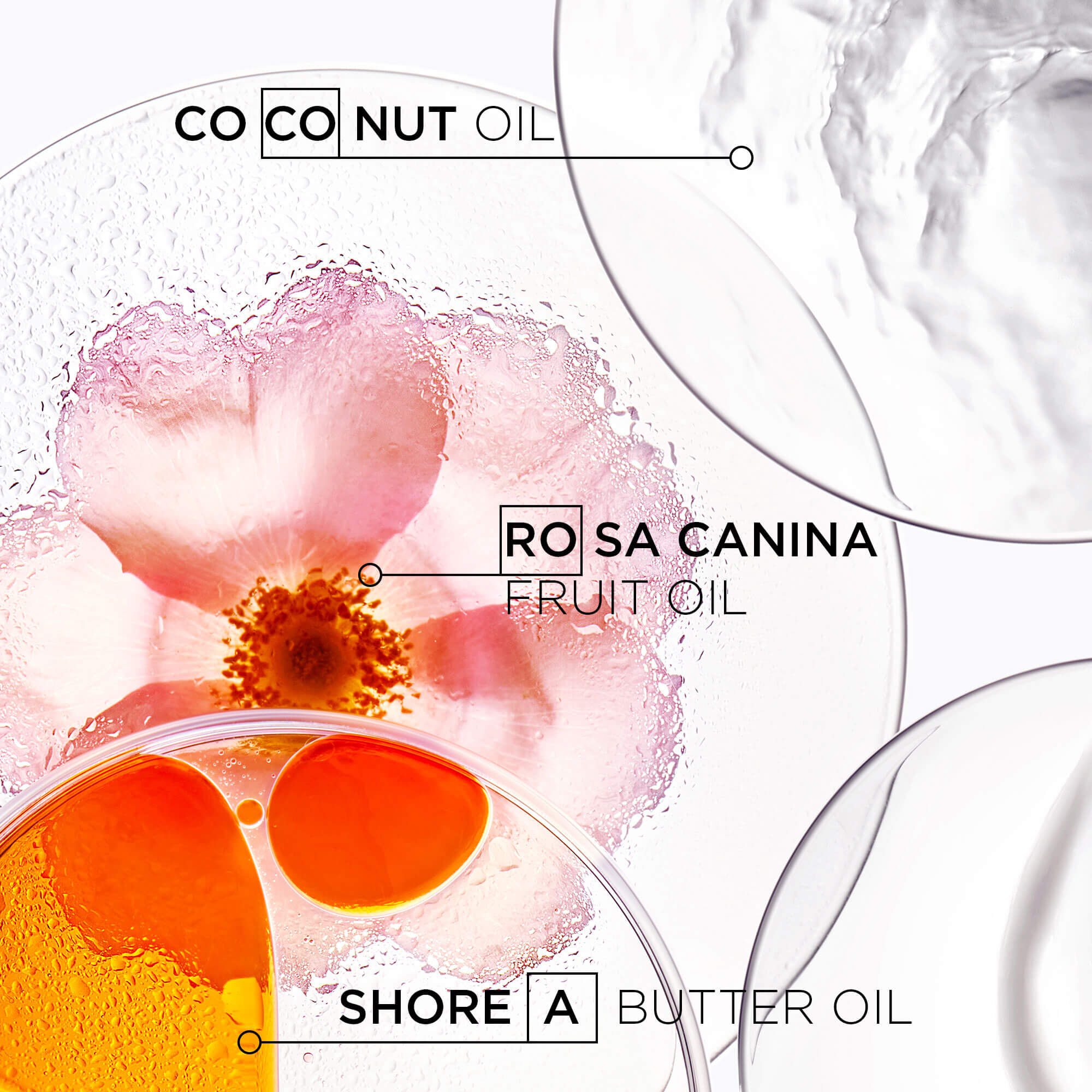 Discipline Oleo-Relax Advanced Hair Oil 100ml